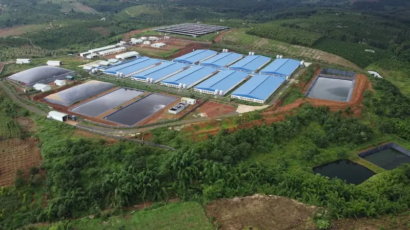 Bể Biogas Trong Xử Lý Nước Thải