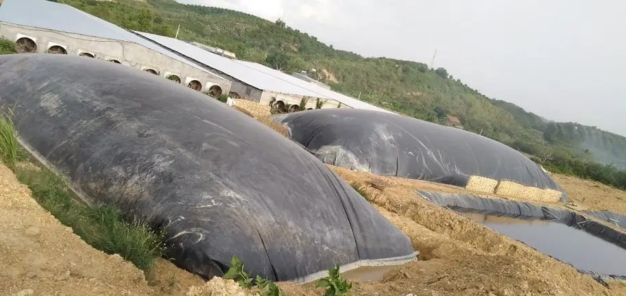 Hầm Bể Biogas Giải Pháp Năng Lượng Xanh Từ Chất Thải Hầm Bể Biogas Giải Pháp Năng Lượng Xanh Từ Chất Thải