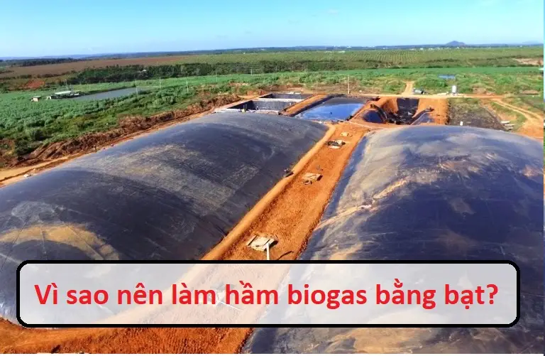 Hầm Bioga Nhựa – Giải Pháp Xanh cho Nông nghiệp Bền vững Hầm Bioga Nhựa – Giải Pháp Xanh cho Nông nghiệp Bền vững
