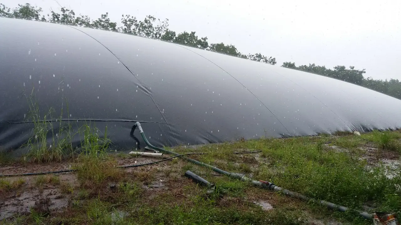 Hầm Biogas Bị Nghẹt Một Hiện Tượng Cần Chú Ý