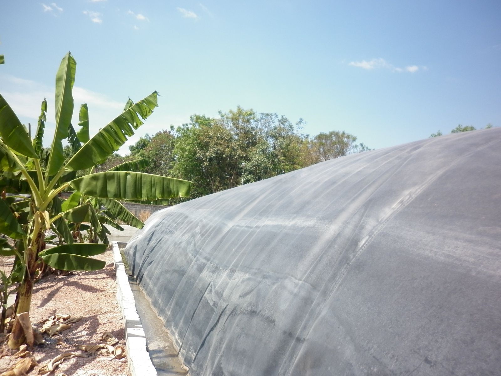 Hầm biogas giá bao nhiêu - Tìm hiểu chi phí và lợi ích của hầm biogas Hầm biogas giá bao nhiêu - Tìm hiểu chi phí và lợi ích của hầm biogas