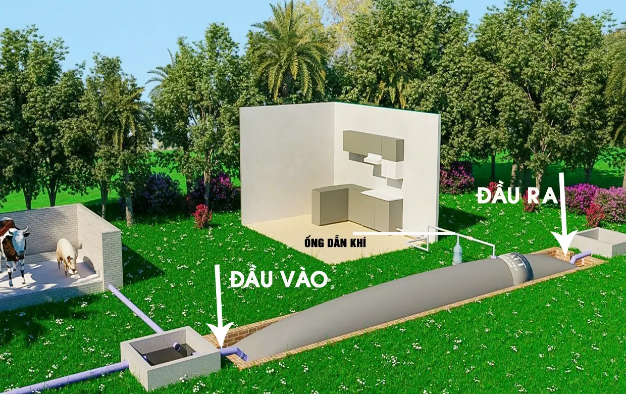 Hầm Biogas Giá Rẻ Đang Trở Thành Giải Pháp Năng Lượng Thông Minh