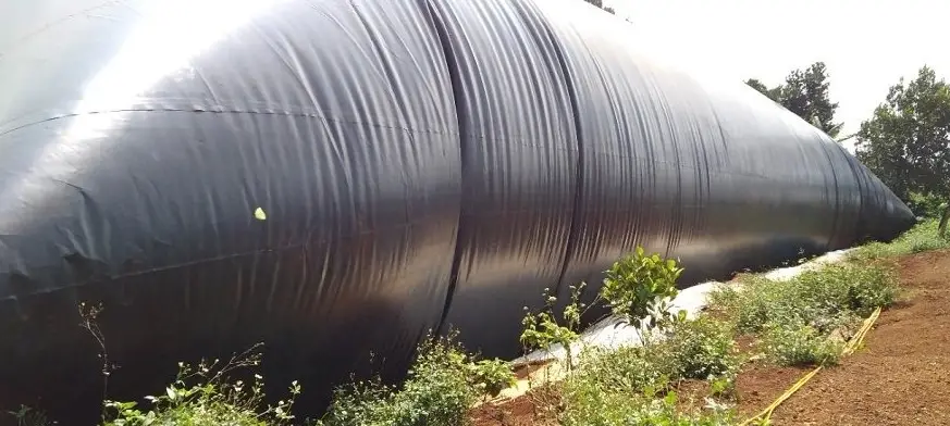 Hầm Biogas Phủ Bạt HDPE Giải Pháp Tối Ưu cho Chăn Nuôi Bền Vững