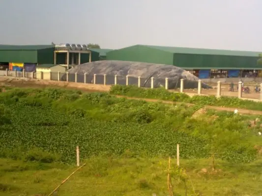 Hầm Biogas Trại Heo - Giải Pháp Bền Vững cho Môi Trường