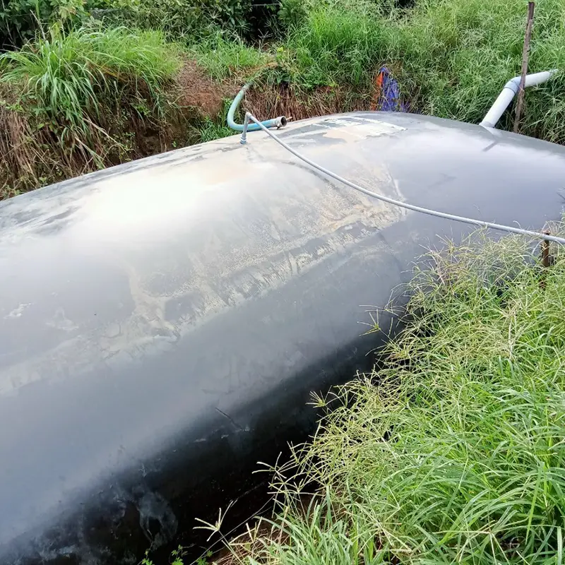 Hầm biogas trong chăn nuôi Hầm biogas trong chăn nuôi