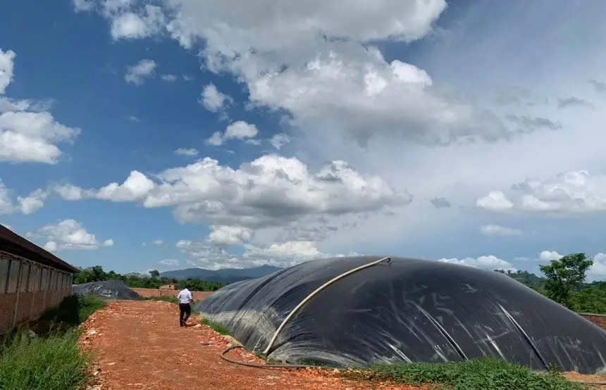 Hầm ủ Biogas Giải Pháp Bền Vững cho Nông Nghiệp