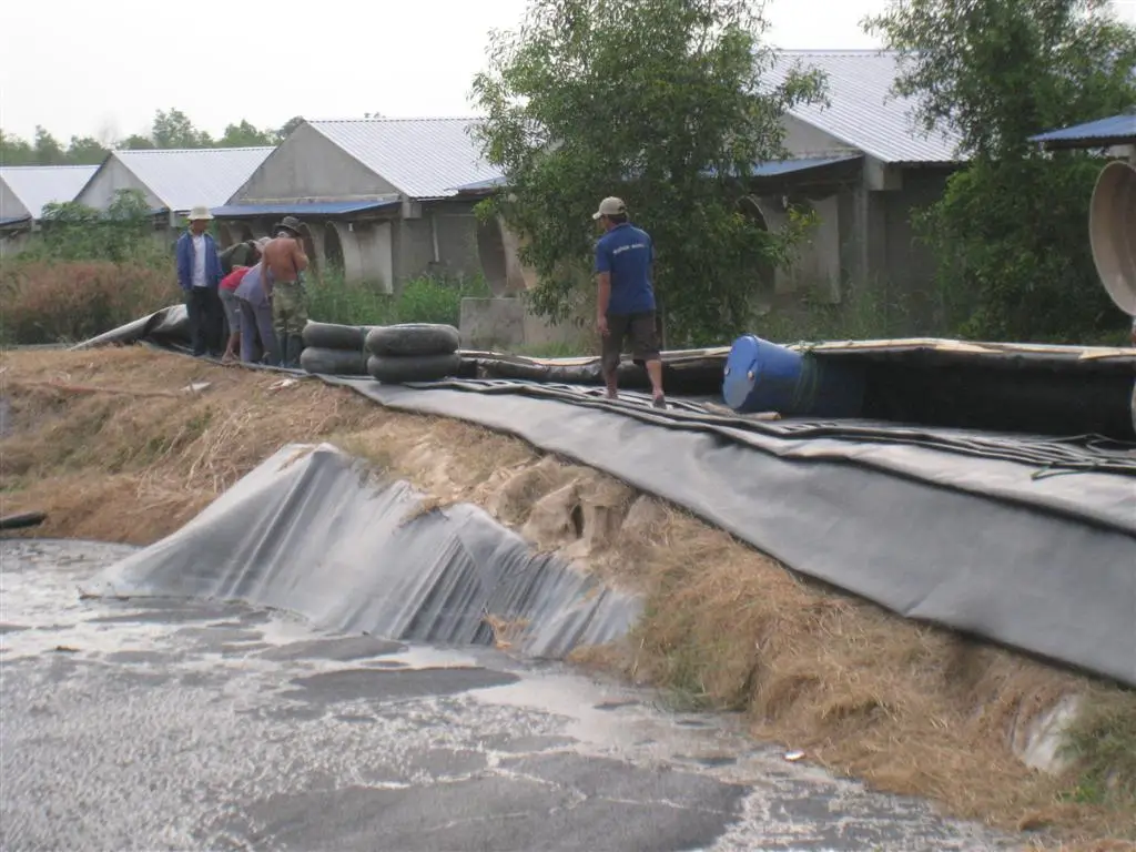 Hàn Bạt HDPE Giải Pháp Chống Thấm Toàn Diện Trong Xây Dựng và Nông Nghiệp
