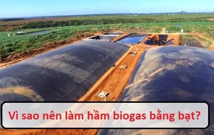 Nâng Cao Hiệu Quả Chăn Nuôi  Bảo Vệ Môi Trường Với Hệ Thống Biogas