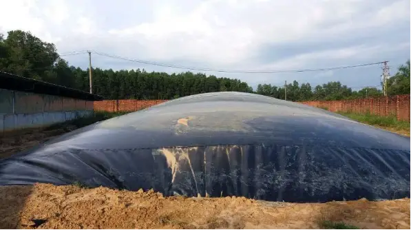 Mô Hình Hầm Biogas - Giải Pháp Xanh Cho Nông Nghiệp Bền Vững