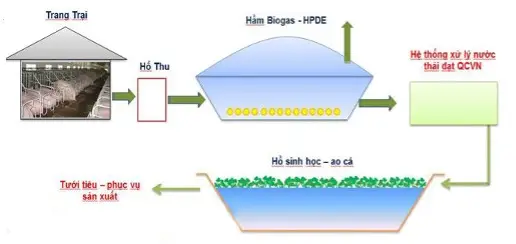 Mô hình làm hầm biogas