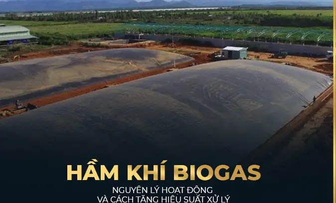 Hầm Biogas - Giải Pháp Năng Lượng Xanh  Bền Vững Cho Tương Lai