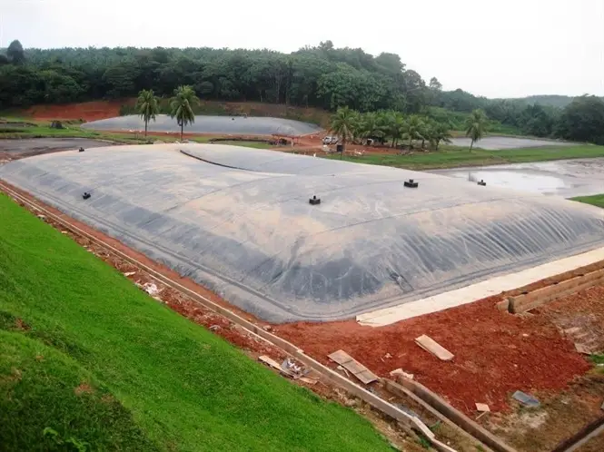 Sử Dụng Nước Thải Từ Hầm Biogas Để Tưới Cây