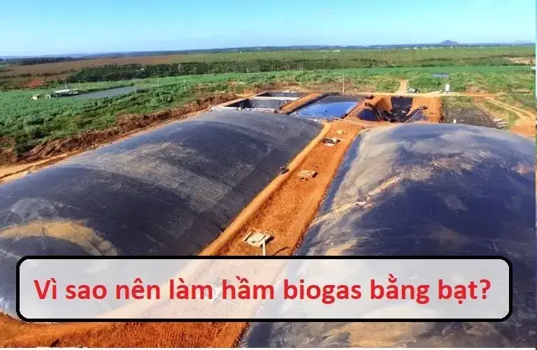Bạt Biogas - Giải Pháp Xanh Cho Nền Kinh Tế Tuần Hoàn
