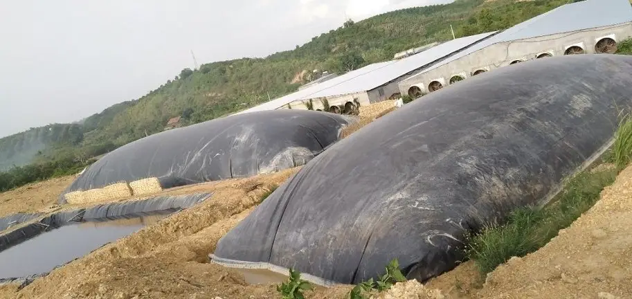 Bạt Nhựa HDPE Lót Hầm Biogas - Giải Pháp Xanh Cho Nông Nghiệp