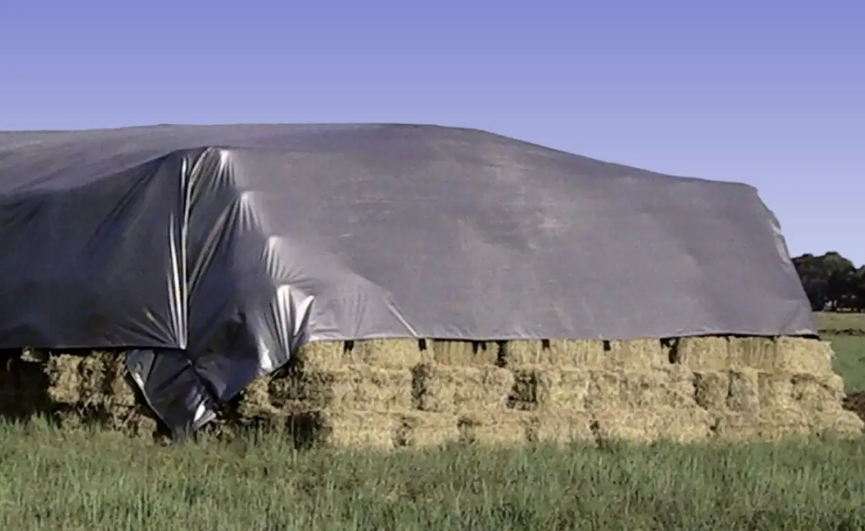 Bạt Nhựa PVC Tarpaulin - Giải Pháp Đa Năng Thời Đại