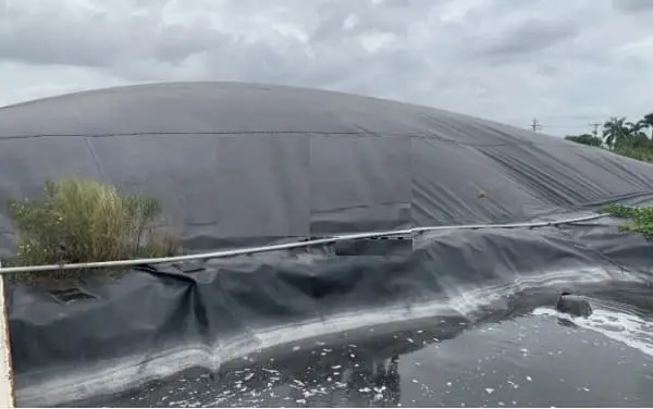 Bể Biogas Giải Pháp Xanh - Tương Lai Năng Lượng Bền Vững