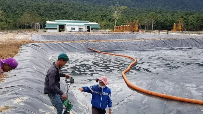 Giá Bạt HDPE Lót Hồ 2024 - Bí Quyết Thành Công Nuôi Trồng Thủy Sản