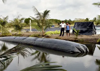Túi Biogas HDPE - Bước Tiến Mới Cho Nông Nghiệp Xanh