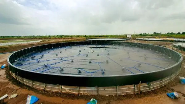 Bạt HDPE Lót Hồ Tôm - Bí Quyết Vàng Cho Vụ Mùa Bội Thu