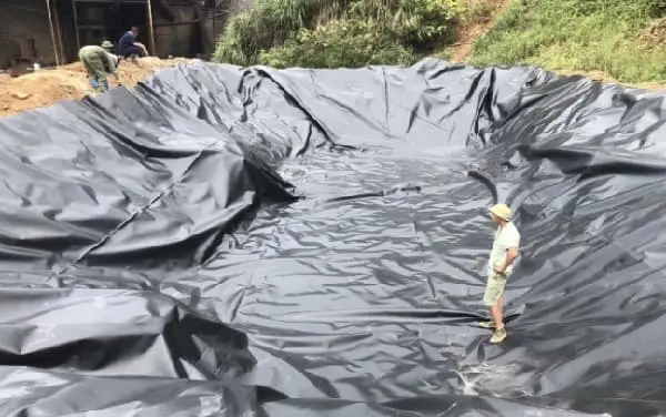 Bạt Lót Ao HDPE - Khắc Tinh Thấm Nước, Vàng Lòng Người Nuôi