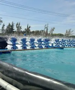 Bạt Lót Hồ Tôm HDPE - Bước Tiến Vượt Bậc Cho Ngành Thủy Sản