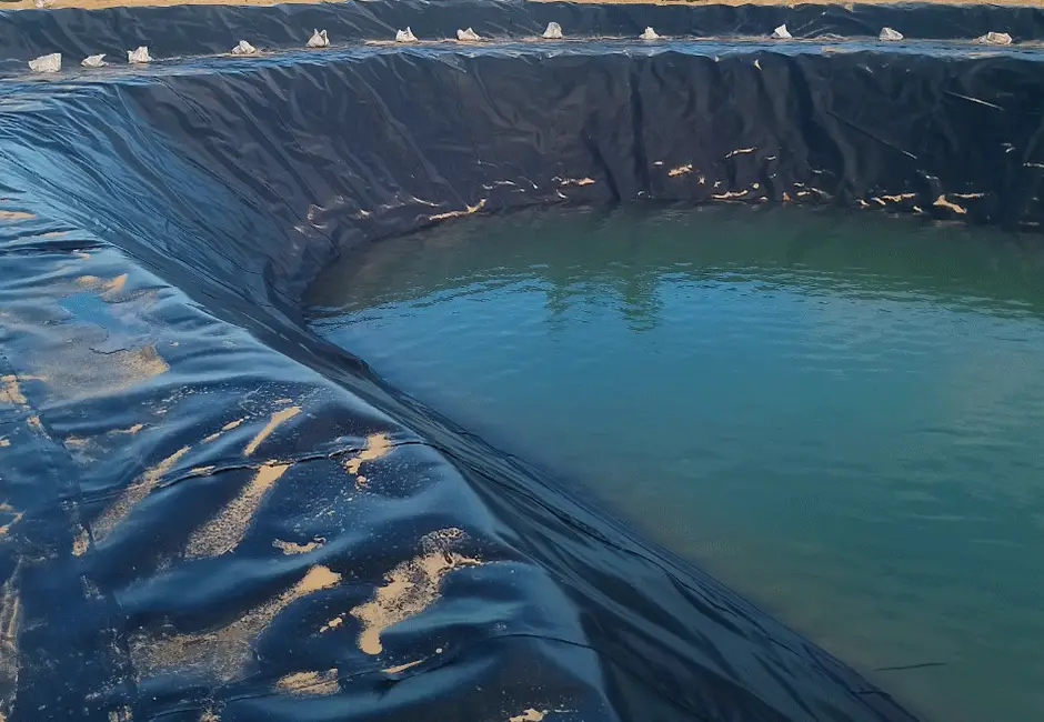 Bạt Trải Hồ Cá – Bí Quyết Vàng Cho Ngành Thủy Sản Thịnh Vượng