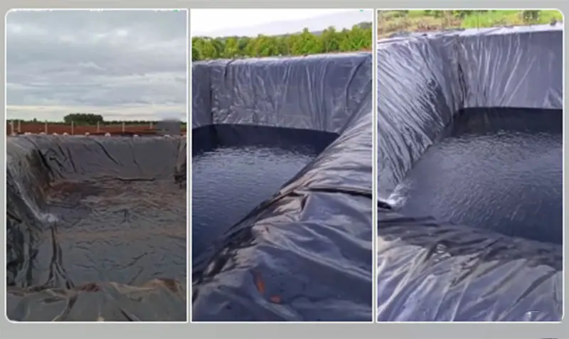 Hồ Bạt HDPE - Giải Pháp Vàng Cho Nuôi Trồng và Bảo Vệ Nguồn Nước