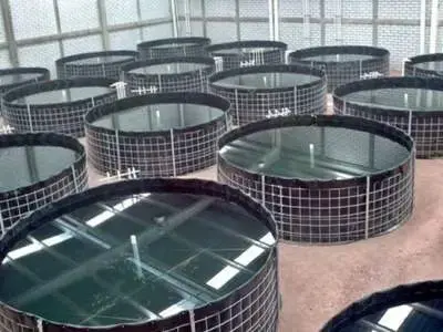 Mua Bạt HDPE - Giải Pháp Vàng Cho Mọi Công Trình Và Cuộc Sống
