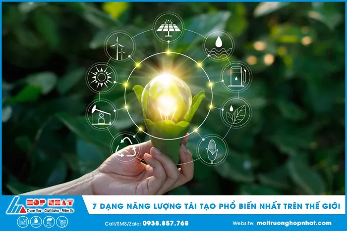 7 dạng năng lượng tái tạo phổ biến nhất trên thế giới