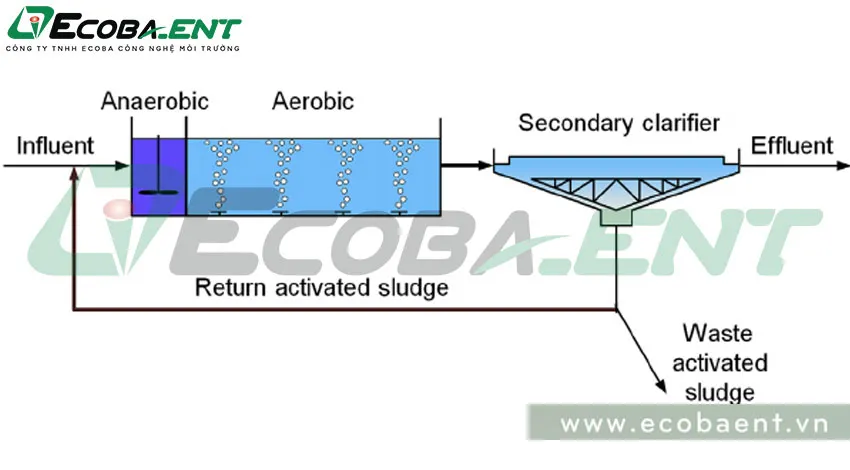 A2O/AO/O – Công nghệ xử lý nước thải cho nhà máy hiệu quả