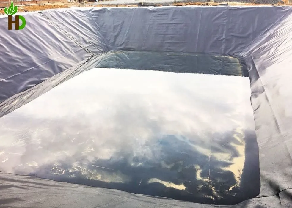 ao nuôi cá lót bạt HDPE