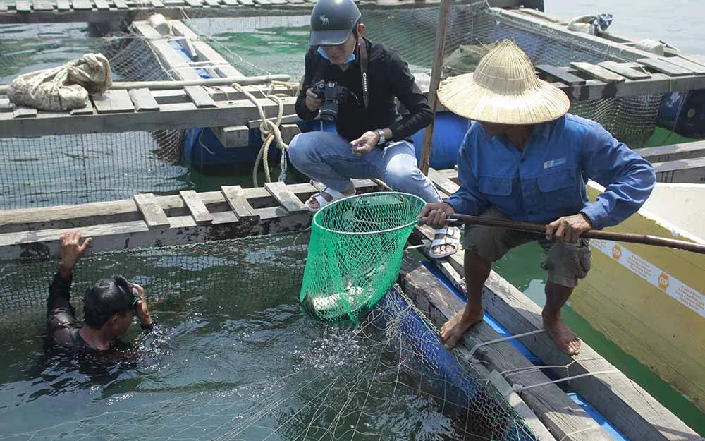 Ao nuôi cá nước ngọt quy mô nhỏ được lót bạt HDPE, minh họa giải pháp nuôi trồng hiệu quả trên diện tích đất hạn chế, tối ưu cho các hộ gia đình.