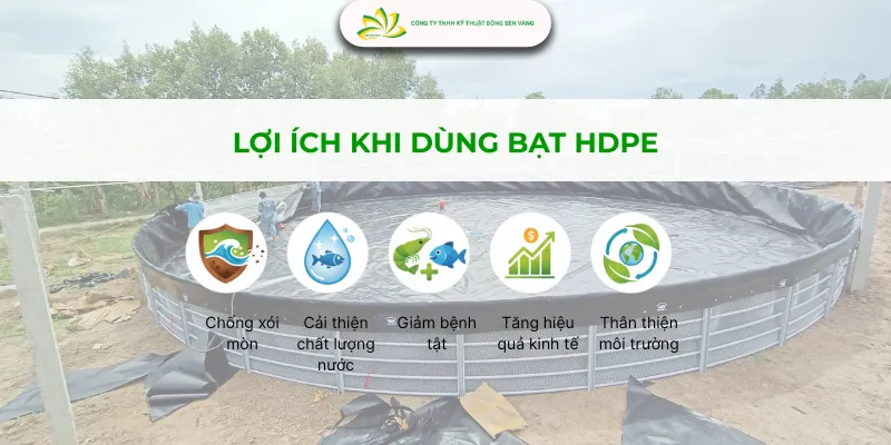 Ao nuôi tôm lót bạt HDPE đạt tiêu chuẩn giúp cải thiện chất lượng nước và tăng hiệu quả kinh tế