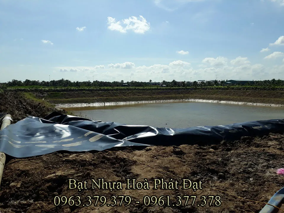 Ao nuôi tôm sử dụng màng HDPE
