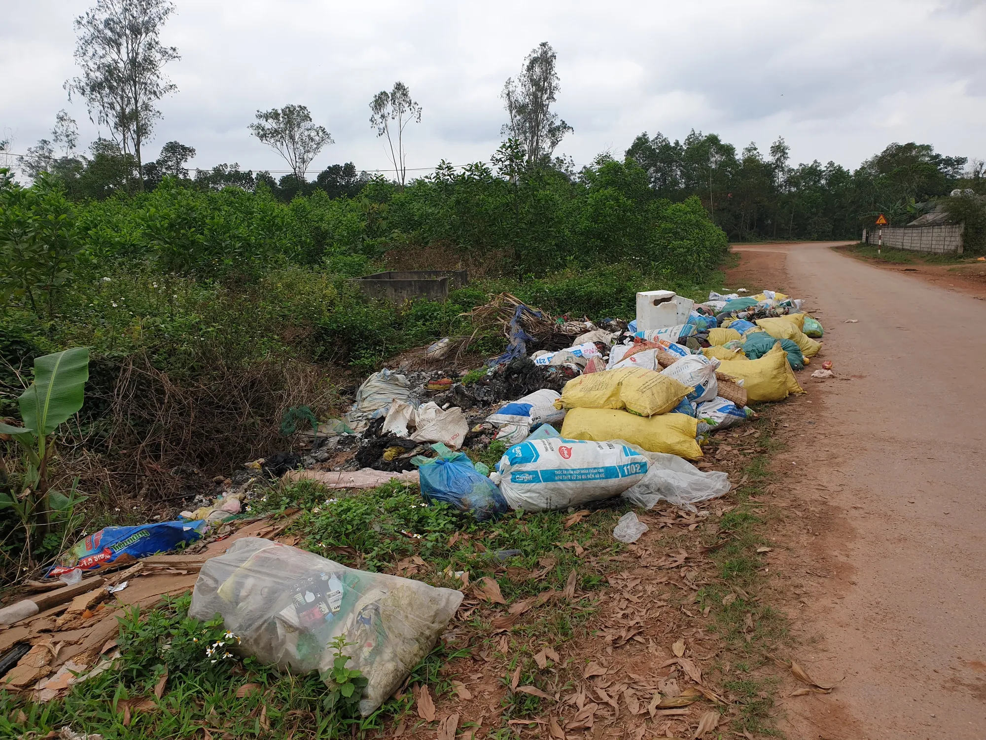 Bãi rác tạm chờ thu gom ở khu vực nông thôn Quảng Bình