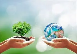 Bàn tay nâng giữ mầm cây non xanh tươi, biểu tượng cho việc bảo vệ môi trường sống