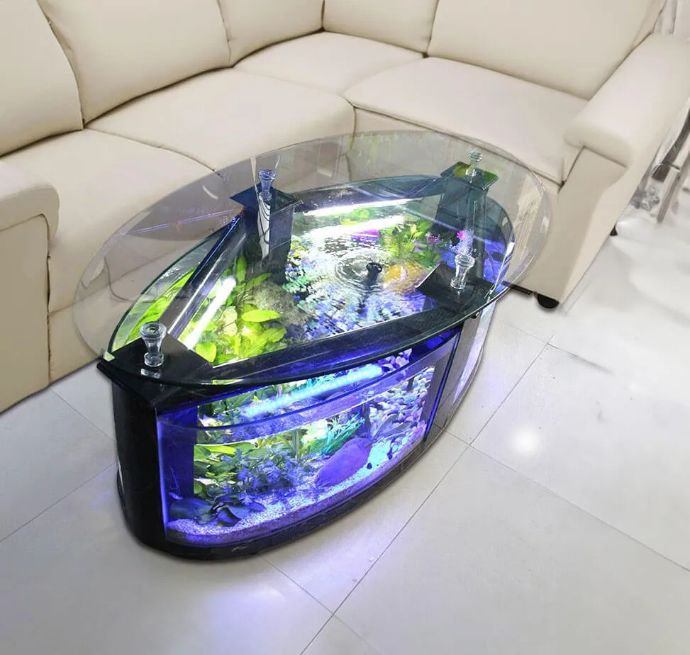 Bàn trà bể cá hình oval