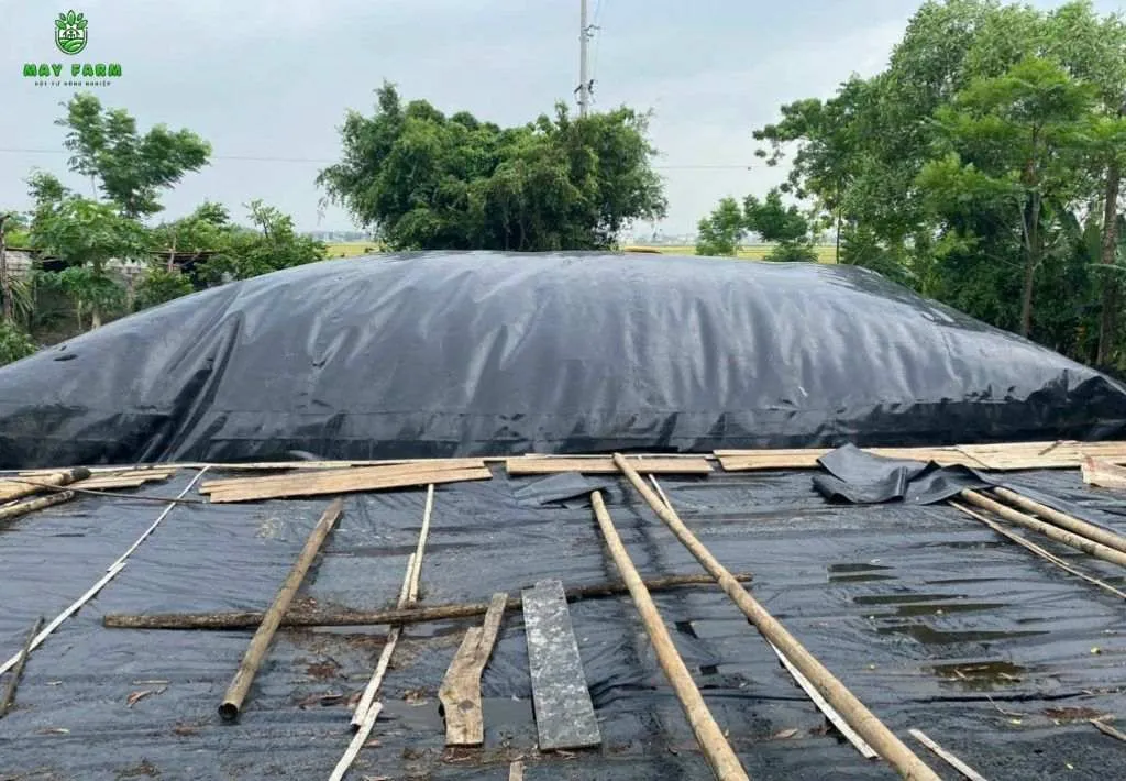 Bạt chống thấm HDPE lót bể biogas chăn nuôi: