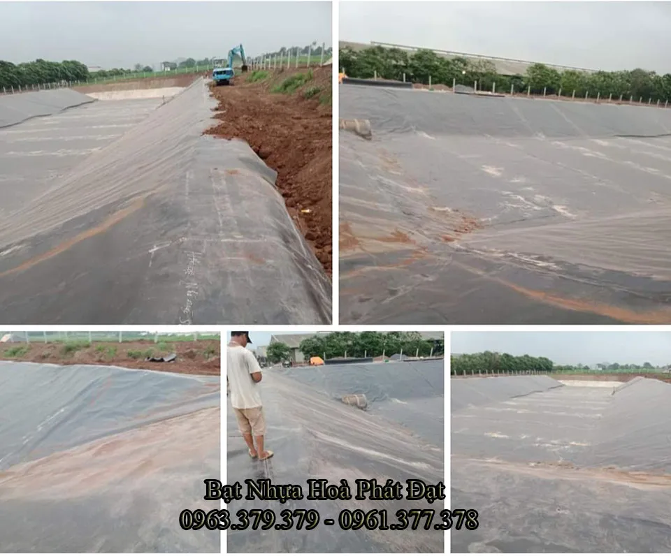 Bạt đen HDPE làm hồ tôm