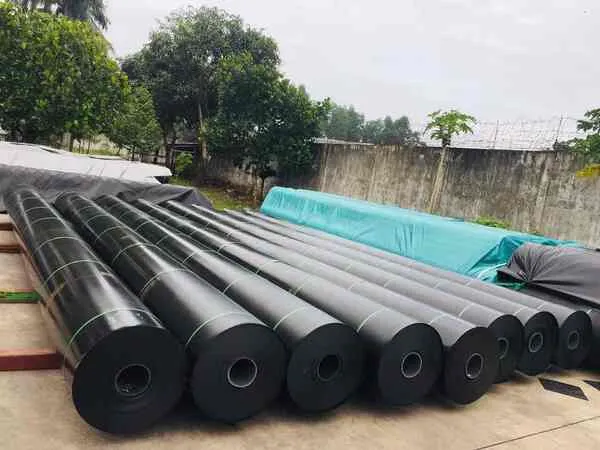 Bạt HDPE chất lượng cao giúp tối ưu chi phí xây dựng hầm biogas