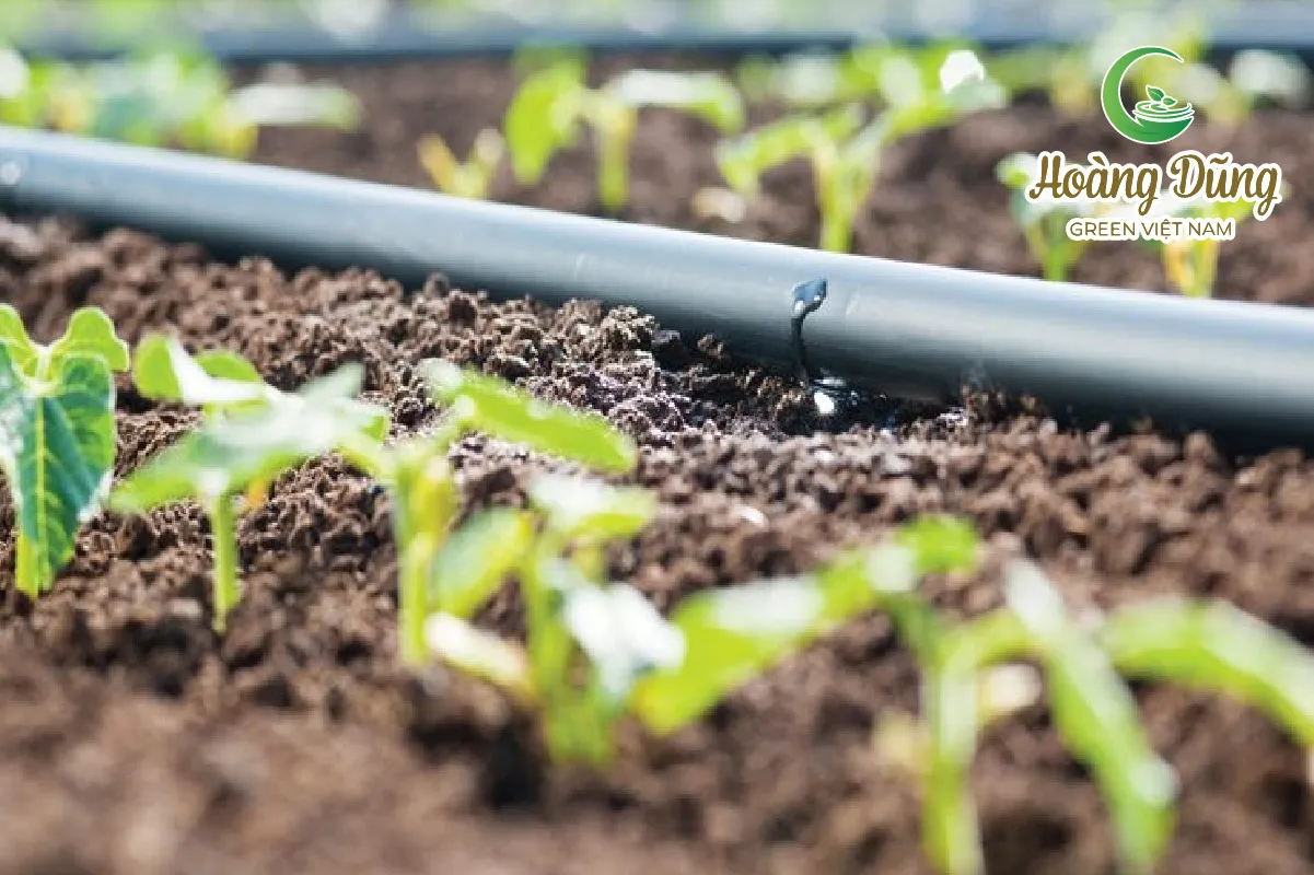 Bạt HDPE được bảo quản đúng cách