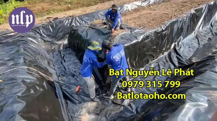 Bạt HDPE làm bể cá kích thước lớn