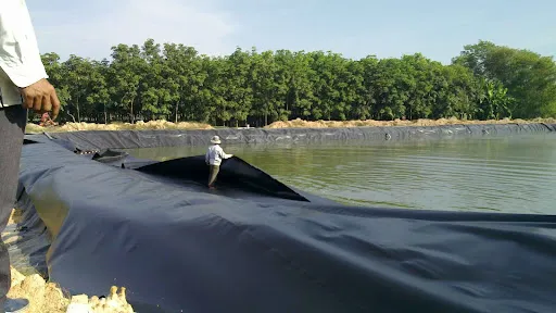 Bạt HDPE lót ao cá – Nguồn sưu tầm