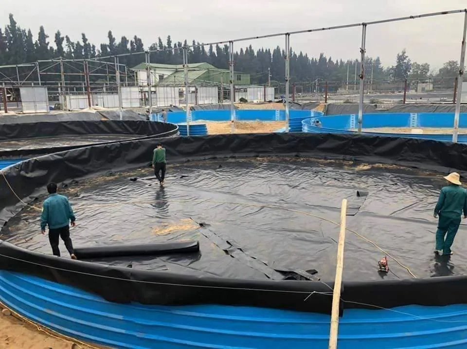 Bạt HDPE lót bể tròn nuôi thủy sản