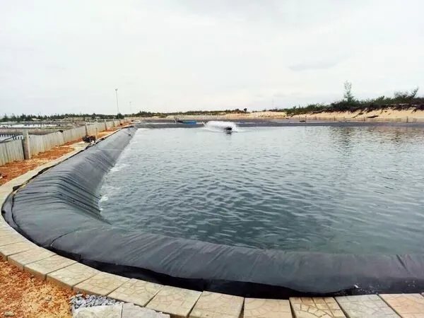 Bạt HDPE lót hồ cá tôm cần có độ dày từ 0.5 - 1mm để đảm bảo độ bền và hiệu quả chống thấm