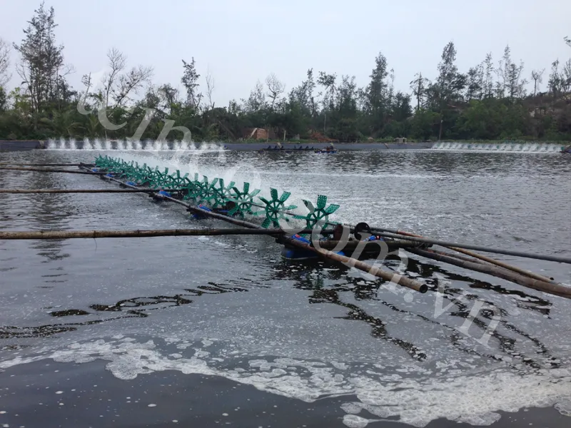 Bạt HDPE lót hồ tôm công nghiệp