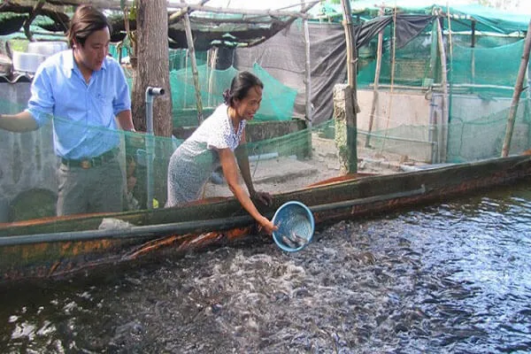 Bạt HDPE Thành Đạt Vina tại Đà Nẵng