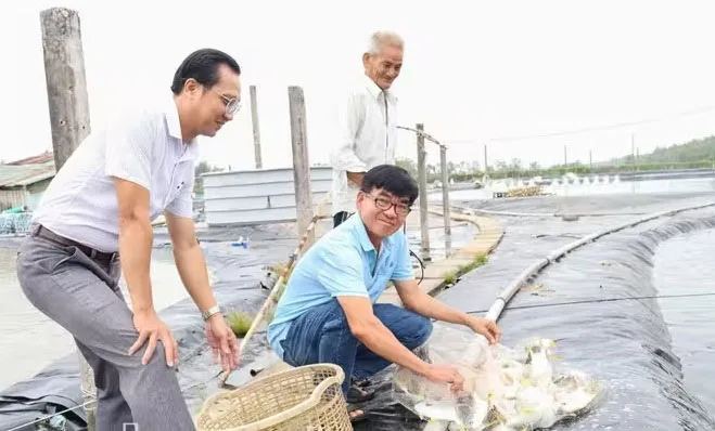 Bạt HDPE ứng dụng trong ao hồ nuôi tôm