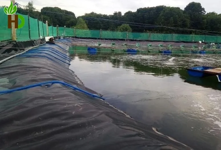Bạt lót HDPE được ứng dụng rộng rãi trong các dự án ao hồ nuôi cá và xử lý chất thải