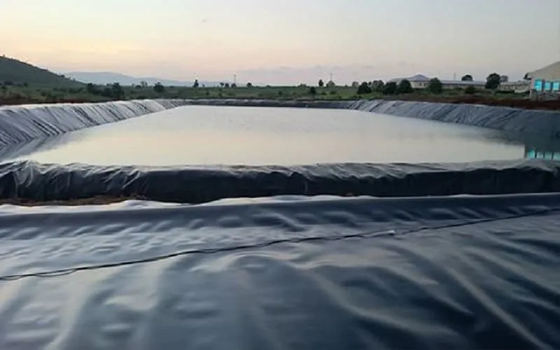 Bạt lót HDPE ứng dụng đa dạng trong nuôi trồng thủy sản và hồ cá koi